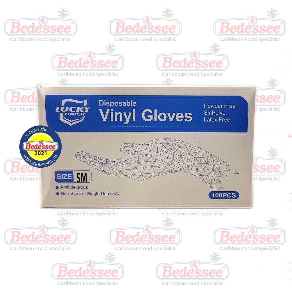 EKONO PLUS GLOVES VINYL CLEAR 100 PC