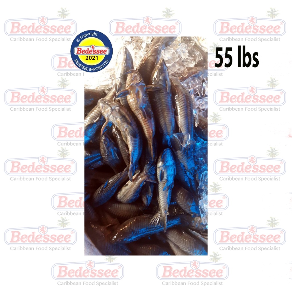 SAVANNAH HASSAR BULK MEDIUM 44 LB