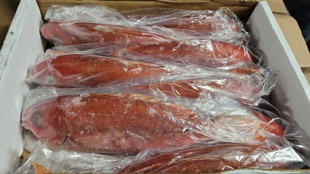 BEDESSEE SNAPPER B-LINER VERM 1/4-1/2 LB 10 LB