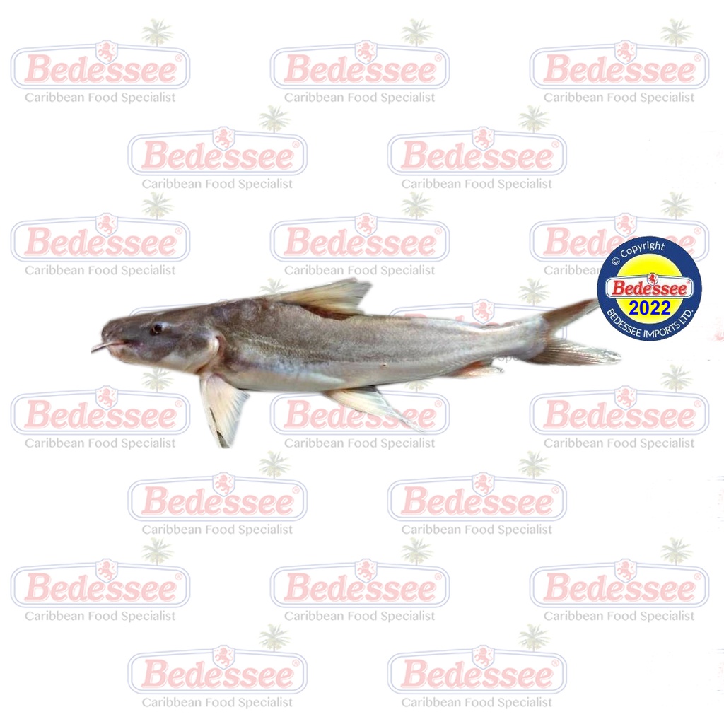 MARSHALL'S CATFISH LAULAU 10 LB