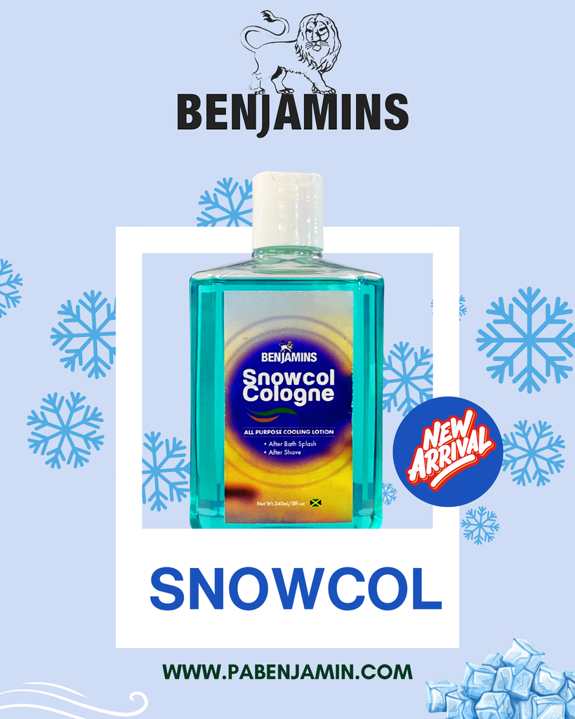 BENJAMIN LOTION SNOWCOL 240 ML
