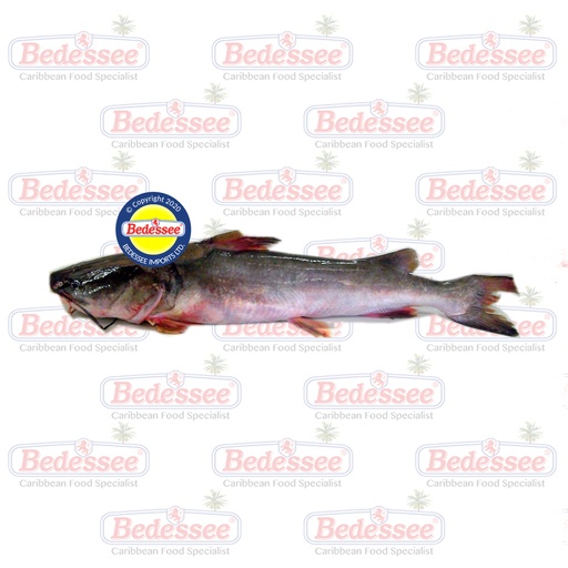 BG GILLBACKER WHOLE 5 lb UP BY LB