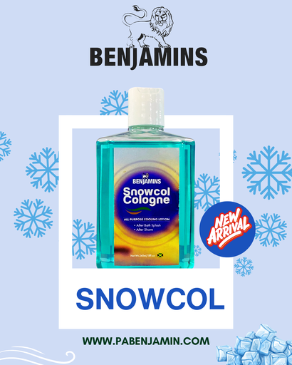 BENJAMIN LOTION SNOWCOL 240 ML
